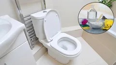 Verabschieden Sie sich von unangenehmen Gerüchen aus Abwasser- und Wasserleitungen in der Toilette: die ideale Lösung für ein makelloses Badezimmer.