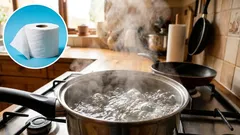 Ich habe kochendes Wasser über das Toilettenpapier gegossen und damit ein Problem gelöst, das die meisten Familien haben.